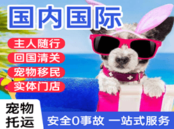 万州五桥机场托运国际宠物托运 【国